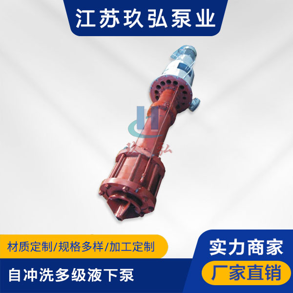 DLY自衝(chōng)洗多級液下泵(圖1) DLY自衝洗多級液下(xià)泵(圖1)