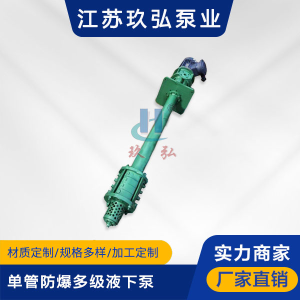 DLY單(dān)管防爆多(duō)級液下泵(圖1) DLY單管防爆多級液下泵(圖(tú)1)