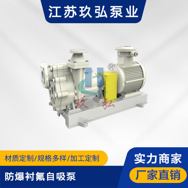 FZB防爆襯氟自（zì）吸泵(圖1)