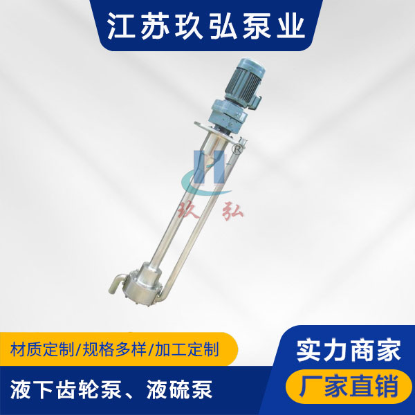 ATY液下（xià）齒輪（lún）泵、液硫泵(圖1)
