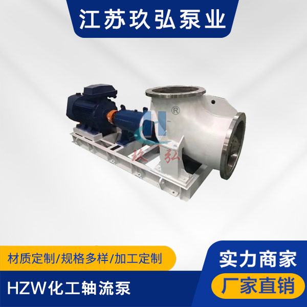 HZW化（huà）工軸流（liú）泵(圖1)