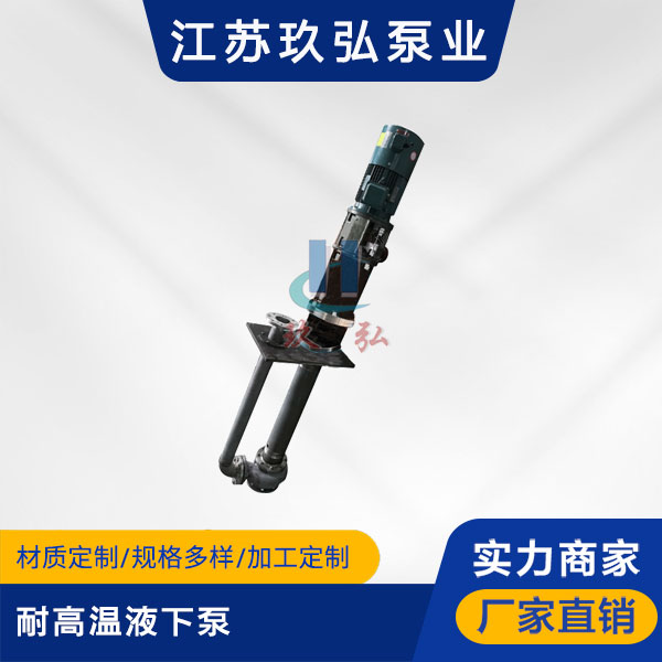 GFY耐高溫（wēn）液下泵(圖（tú）1)