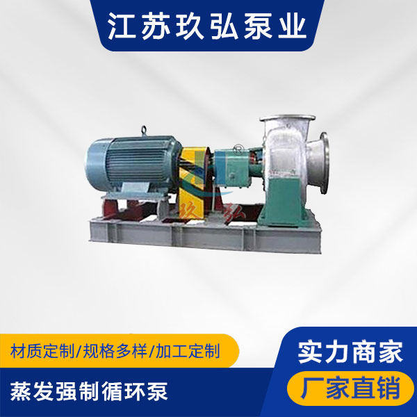 ECP混流式蒸發強製循（xún）環泵(圖1)