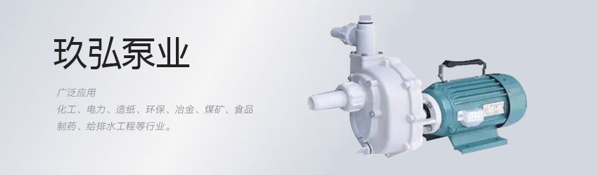 不鏽鋼自吸泵