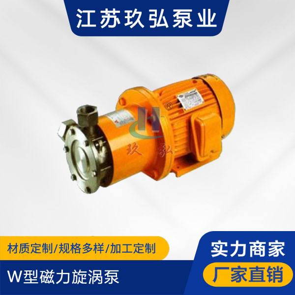 W型磁力旋渦泵（bèng）(圖1)