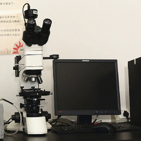 電子顯微鏡（jìng）