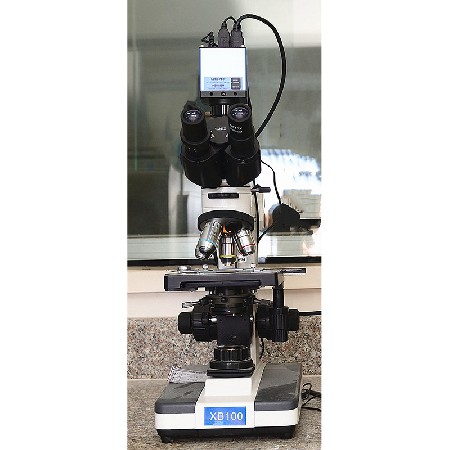 衝擊試（shì）驗機