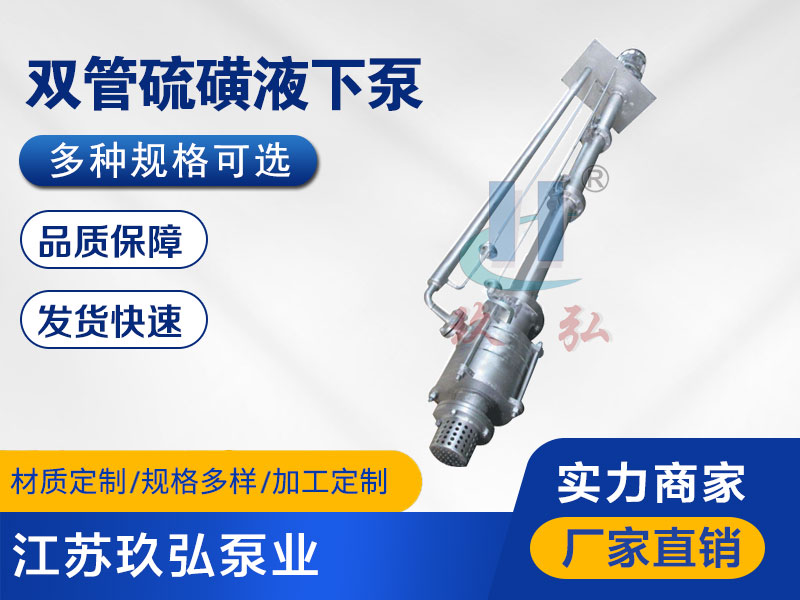 DLY雙管耐高(gāo)溫硫磺液下泵(圖1) DLY雙管耐(nài)高溫硫磺液下泵(圖1)