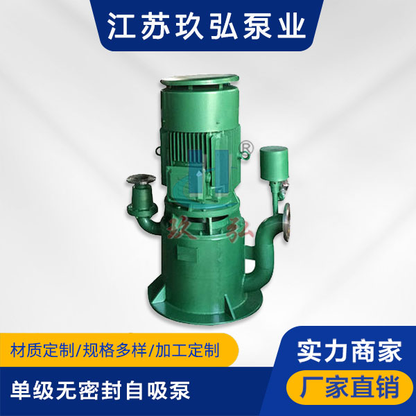 WFB單級無（wú）密封自控自吸泵(圖1)