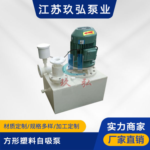 WFB方形塑料自吸泵(圖1)