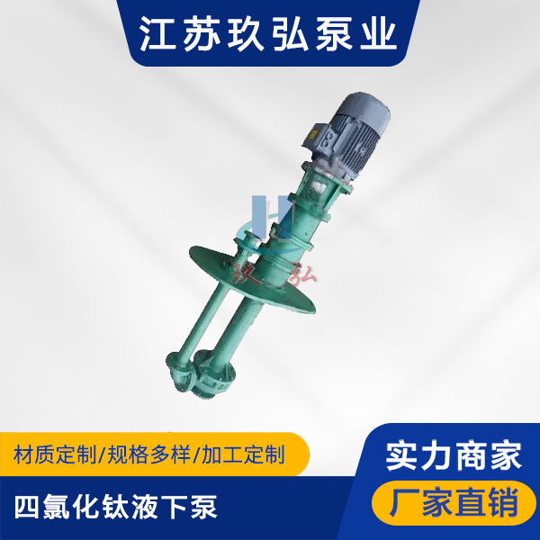 HYT四氯化鈦液（yè）下（xià）泵（機械（xiè）密封）(圖1)